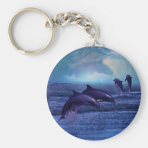 Dolphin fun and play keychains