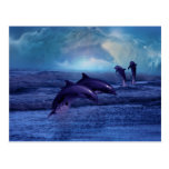 Dolphin fun and play post card