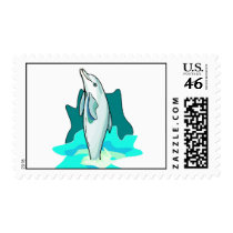 Dolphin Fun