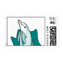 Dolphin Fun