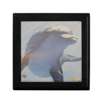 Dolphin gift box