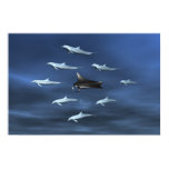 Dolphin Guard