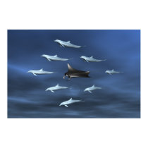 Dolphin Guard posters