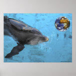 Dolphin has fun with earth posters