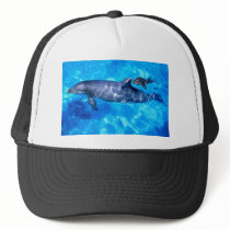 Dolphin Hat