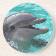 Dolphin head in aquamarine water coaster