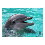 Dolphin head in aquamarine water custom invites