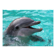 Dolphin head in aquamarine water custom invites
