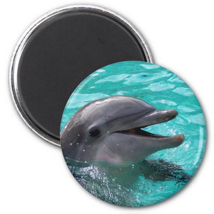 Dolphin head in aquamarine water refrigerator magnets