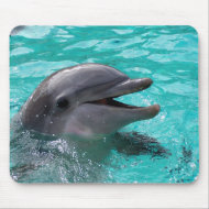 Dolphin head in aquamarine water mousepad