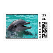 Dolphin head in aquamarine water postage stamp