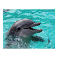 Dolphin head in aquamarine water print