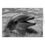 Dolphin head in water mouth open Black and White cards