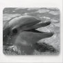 Dolphin head in water mouth open Black and White Mouse Pad