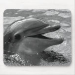 Dolphin head in water mouth open Black and White Mouse Pad
