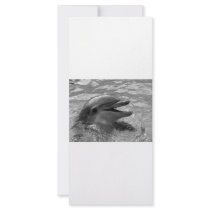 Dolphin head in water mouth open Black and White Customized Rack Card