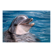 DOLPHIN HEAD posters
