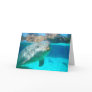 Dolphin Hello card