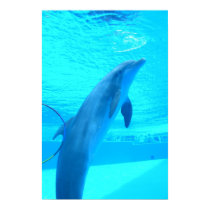 Dolphin Hula Hoop posters