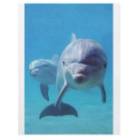 dolphin II Full Color Flyer