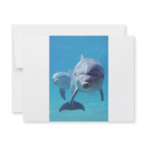 dolphin II invitations