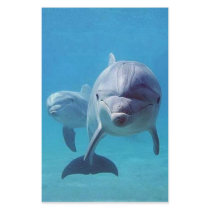 dolphin II stationery