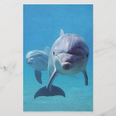 dolphin II Stationery Paper