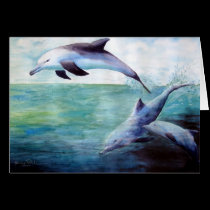 Dolphin images Card