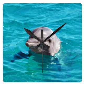 Dolphin in Blue Water Photo Wall Clocks