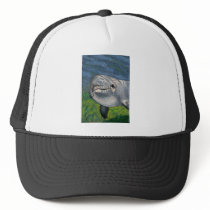 DOLPHIN IN COLOR PENCIL hats by joyart DOLPHIN IN COLOR PENCIL hats