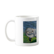 DOLPHIN IN COLOR PENCIL mugs by joyart DOLPHIN IN COLOR PENCIL mugs