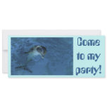 Dolphin Invitation