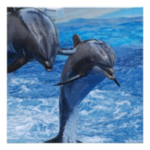 Dolphin Jumping  Invitations