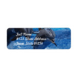 Dolphin Jumping  Mailing Labels