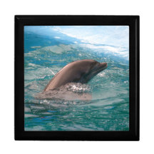 Dolphin Keepsake Box
