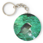 Dolphin Keychain