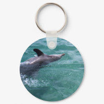 Dolphin keychains by TravellingSue Dolphin keychains