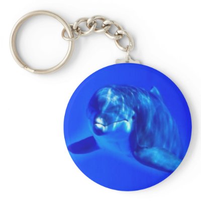 Dolphin keychains