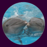 Dolphin Kiss