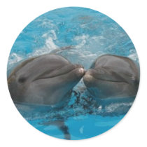 Dolphin Kiss Stickers