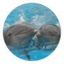 Dolphin Kiss Stickers