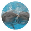 Dolphin Kiss stickers