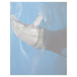 Dolphin Personalized Letterhead