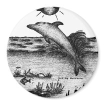 Dolphin Magnet