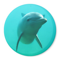 Dolphin magnets