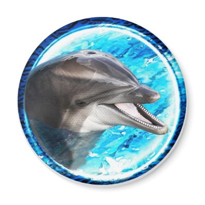 Dolphin magnet by teeshop