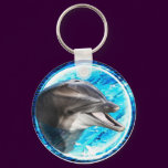 Dolphin magnet