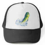 Dolphin,MahiMahi,Dorado