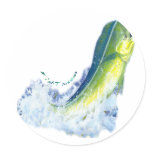 Dolphin,MahiMahi,Dorado