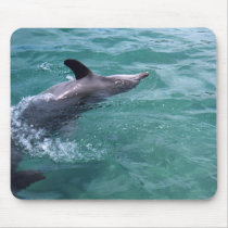 Dolphin mousepads by TravellingSue Dolphin mousepads